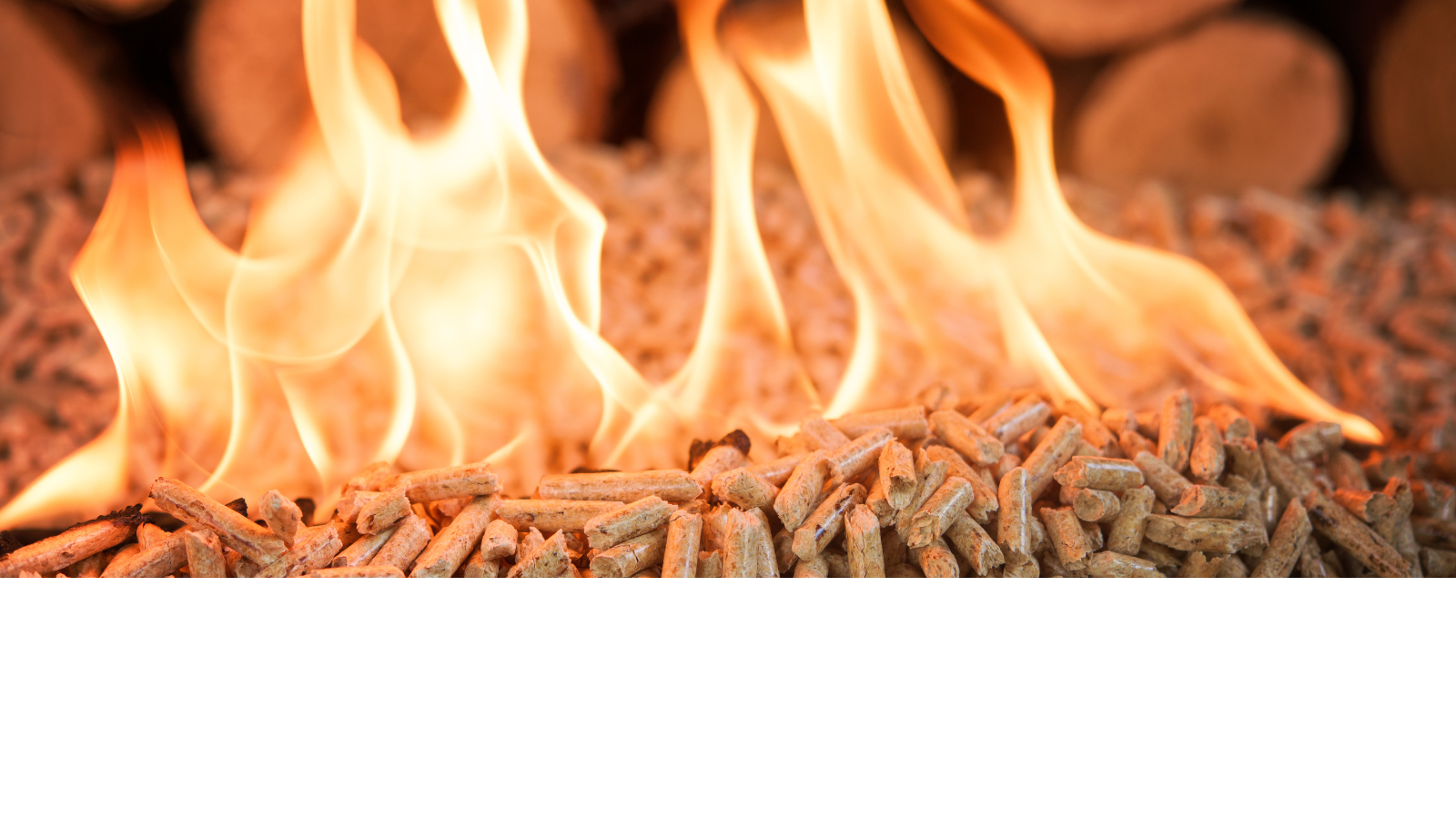 houtpellets fabriek, houtpelletsfabriek, pallet pellets, houtpellets, pellets, pelletkorrels, houtkorrels, woodpellets, Green Energy Woodpellets, bruine pellets, witte pellets, pelletkachel, houtpellets ophalen, houtpellets afhalen,